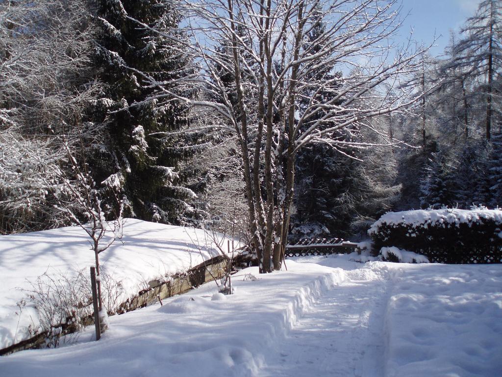 Ferienhaus Aloisia Sankt Michael im Lungau Εξωτερικό φωτογραφία